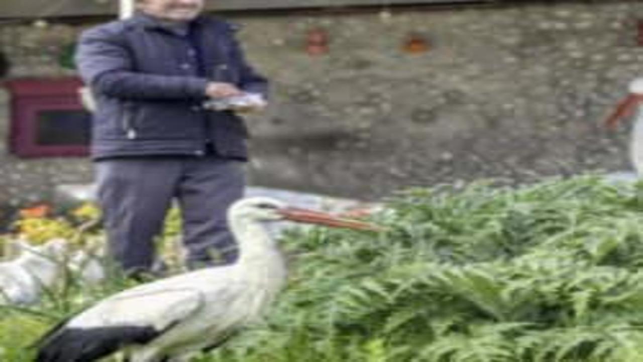 Bir kuş, bir insan ve 15 yıllık sadakat: Adem Amca ile Yaren'in büyük dostluğu