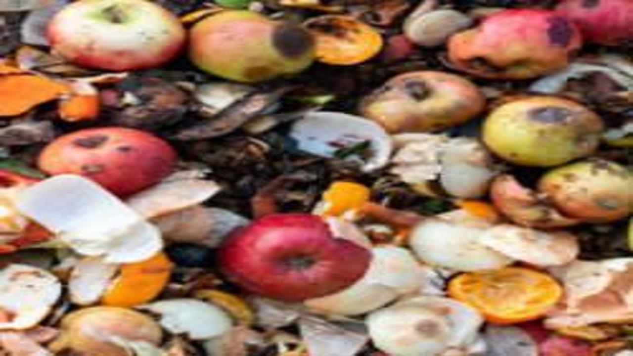 Çöpe giden servet dudak uçuklattı: Trilyon dolarlık kayıp