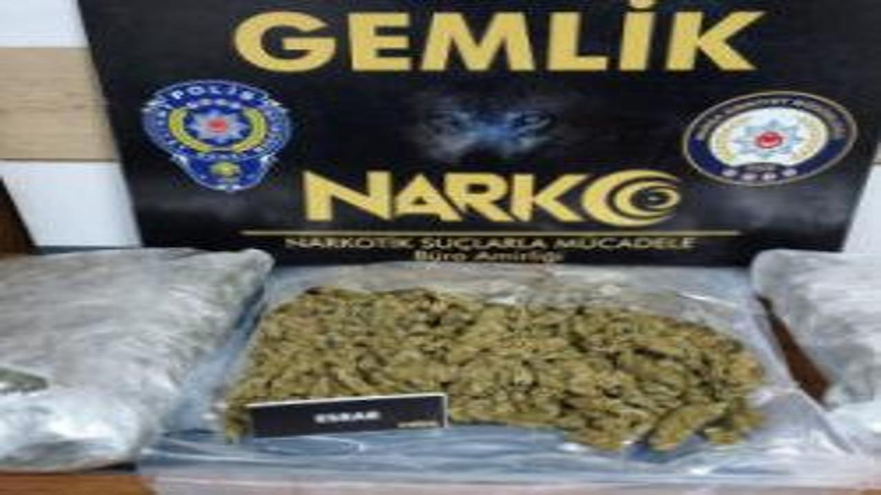 Gemlik’te narkotik pençesi: Evde özel düzenekli uyuşturucu serası çökertildi!