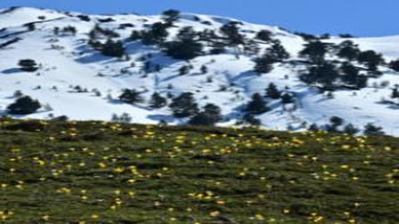 Gümüşhane’de iki mevsim bir arada: Musalla Vadisi’nin bir yanı kış, bir yanı bahar