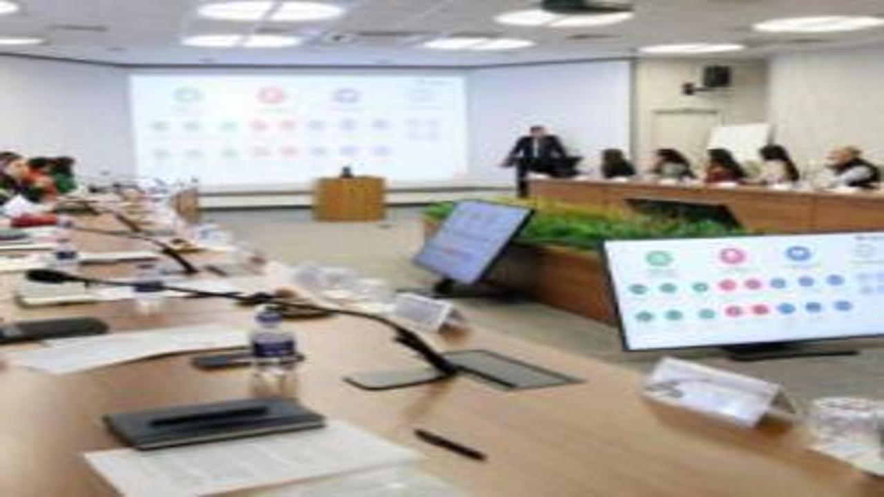 Küresel İklim Zirvesine doğru: Türkiye'nin yeşil vizyonu dünya basınına tanıtıldı