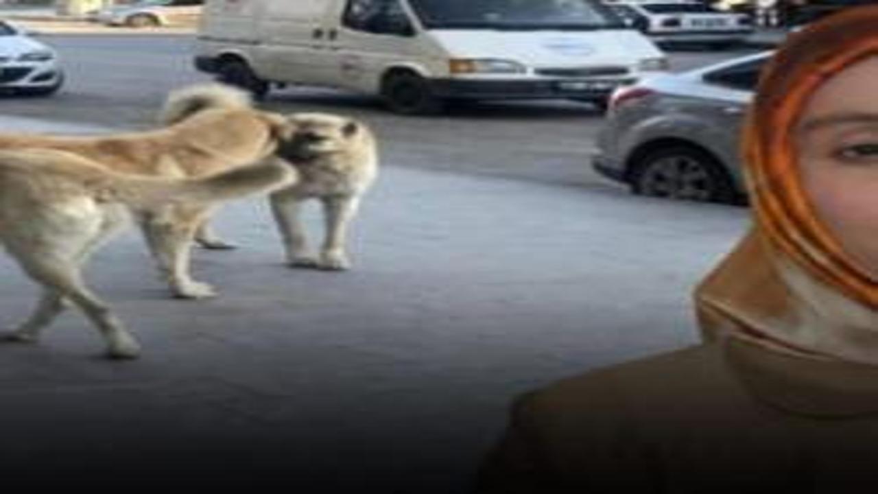 Kurusıkı silah nedeniyle 2 farklı işten çıkarıldığını iddia etti