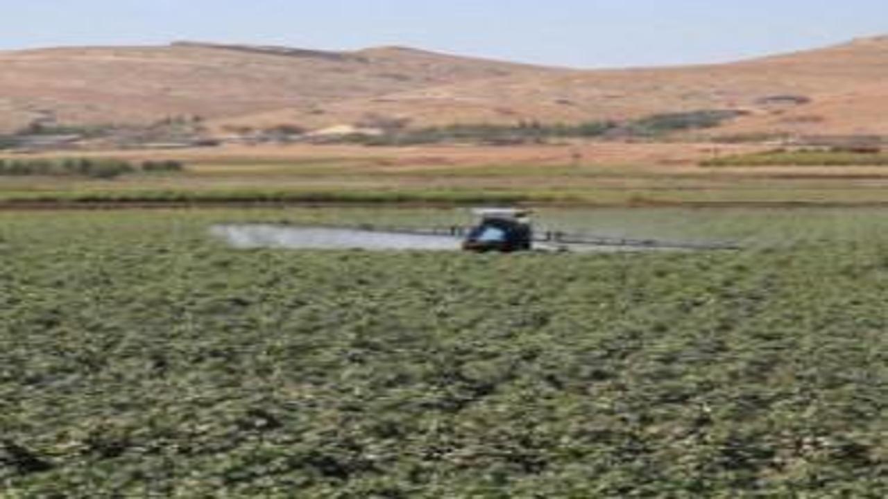 Gübre ithalatında gümrük vergisi sıfırlandı