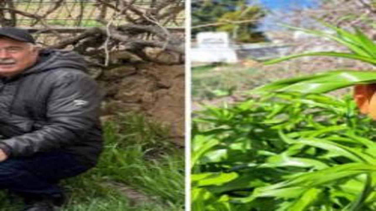 Güzelliğiyle büyülüyor ama dokunması bile yasak! Koparan 700 bin TL ödeyecek...