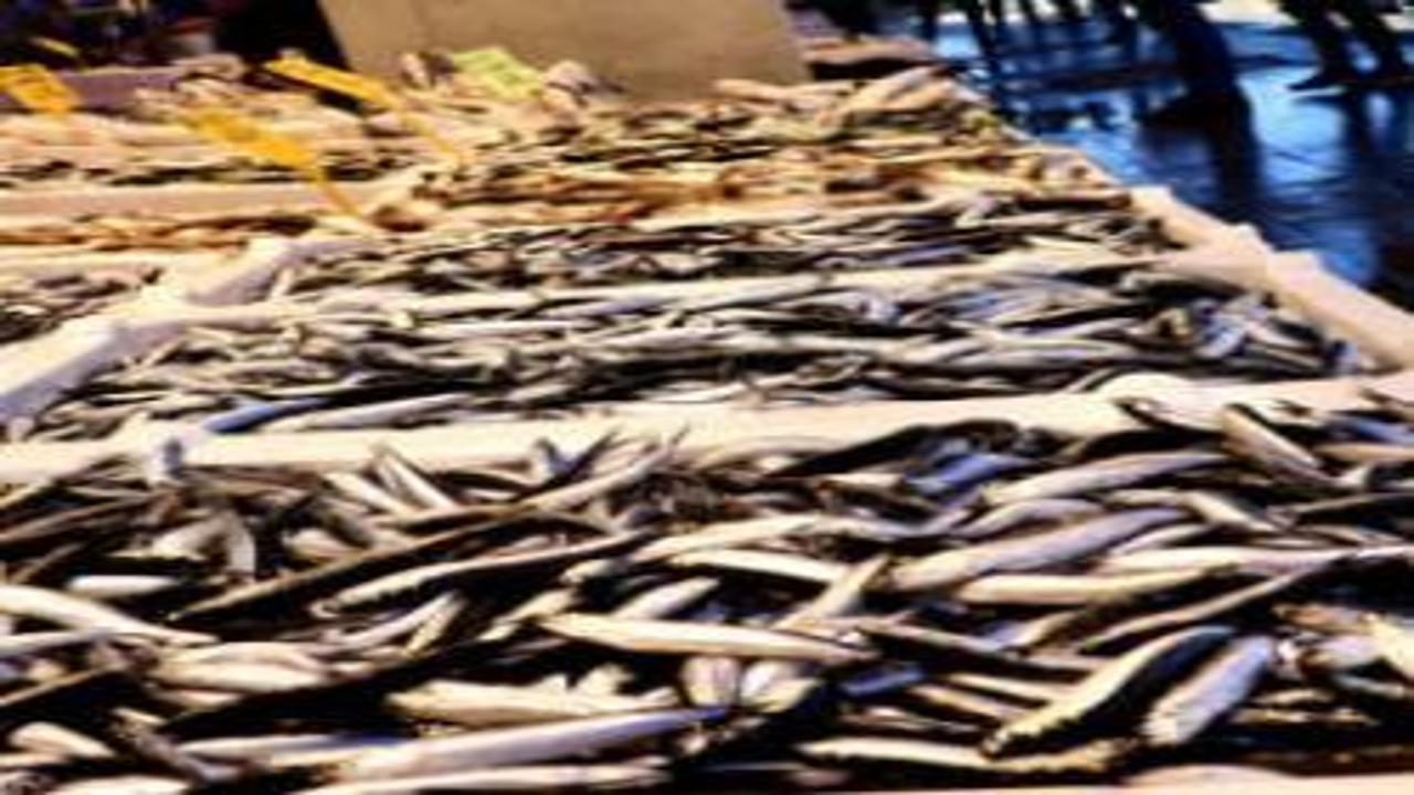 Hamsi vatandaşı güldürdü, tezgahın kralı değişti