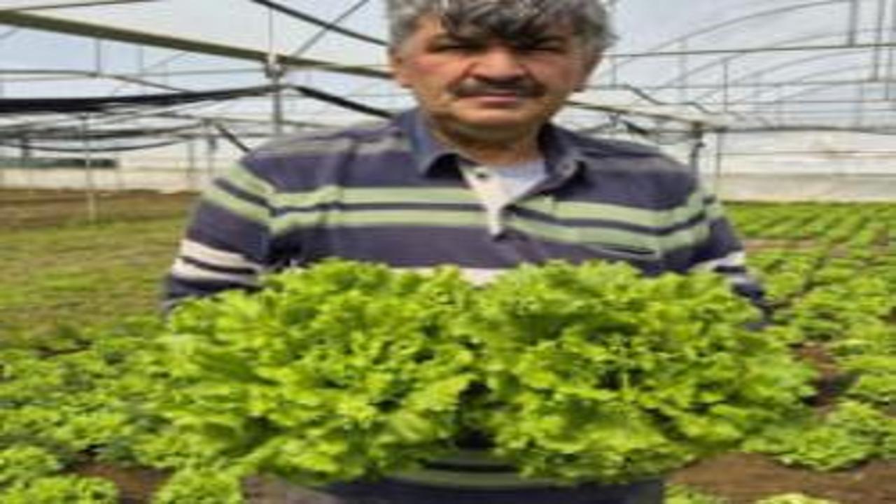 Tarlada 15, tezgahta 100 TL! Fiyatlardaki aracı