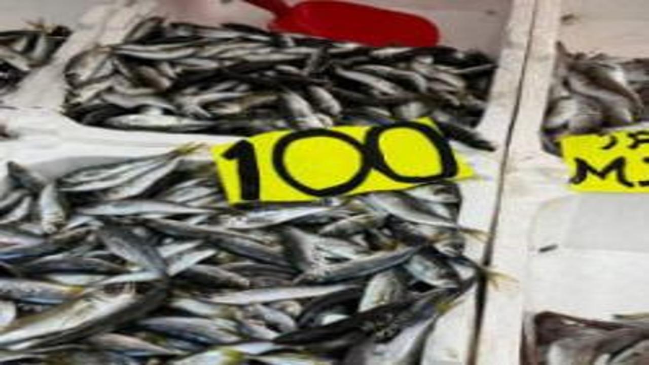 Zonguldak'ta tezgahlarda istavrit bolluğu: Kilosu 100 liradan satılıyor