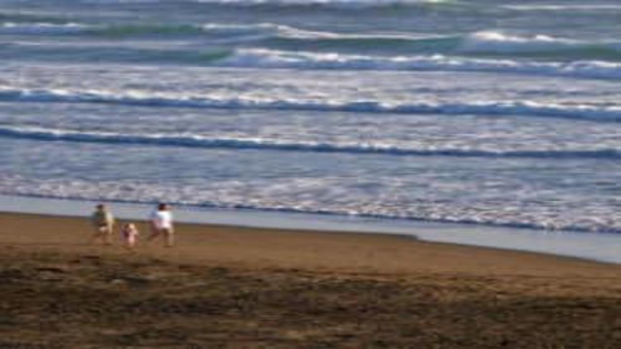 27 yıllık kayıp davasını bir deniz kabuğu çözdü