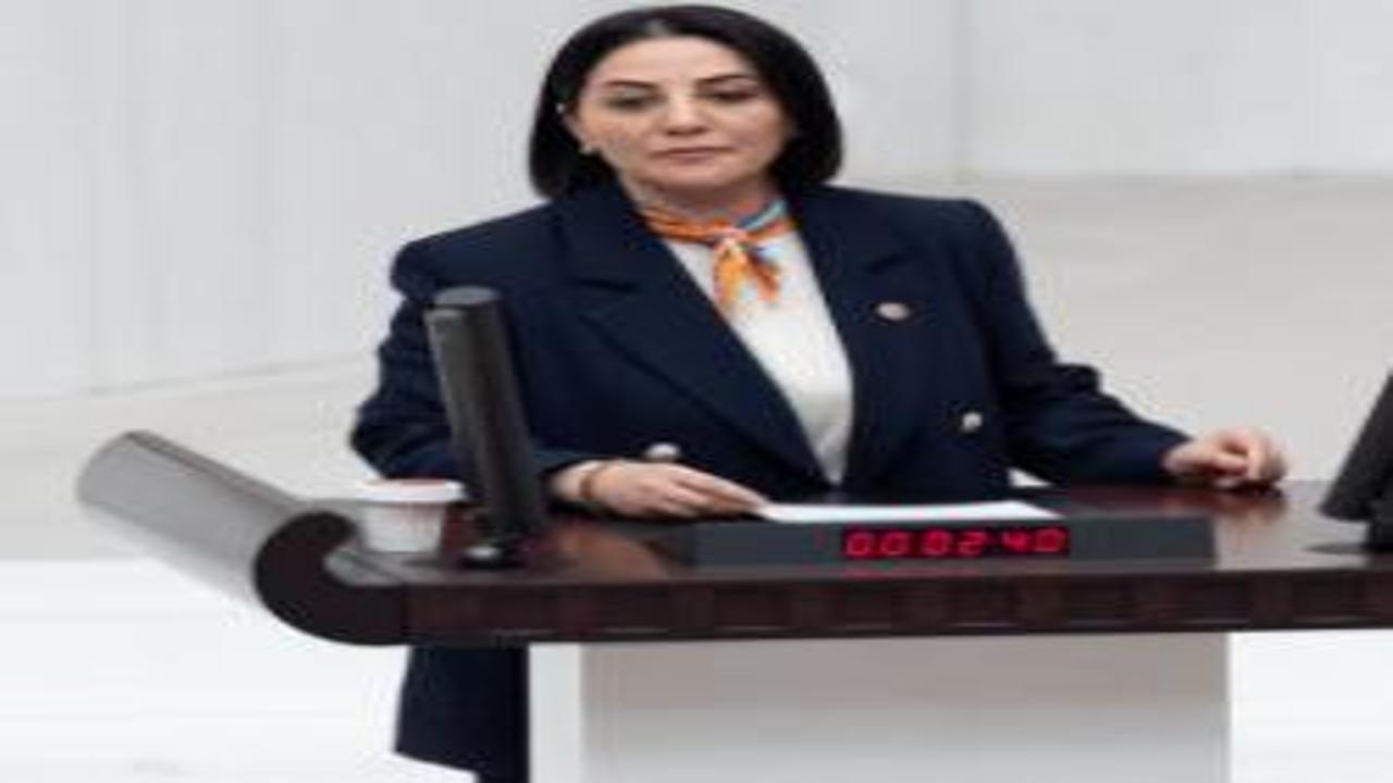 AK Parti Milletvekili Şengül Karslı’dan TBMM’de tarihi çıkış!