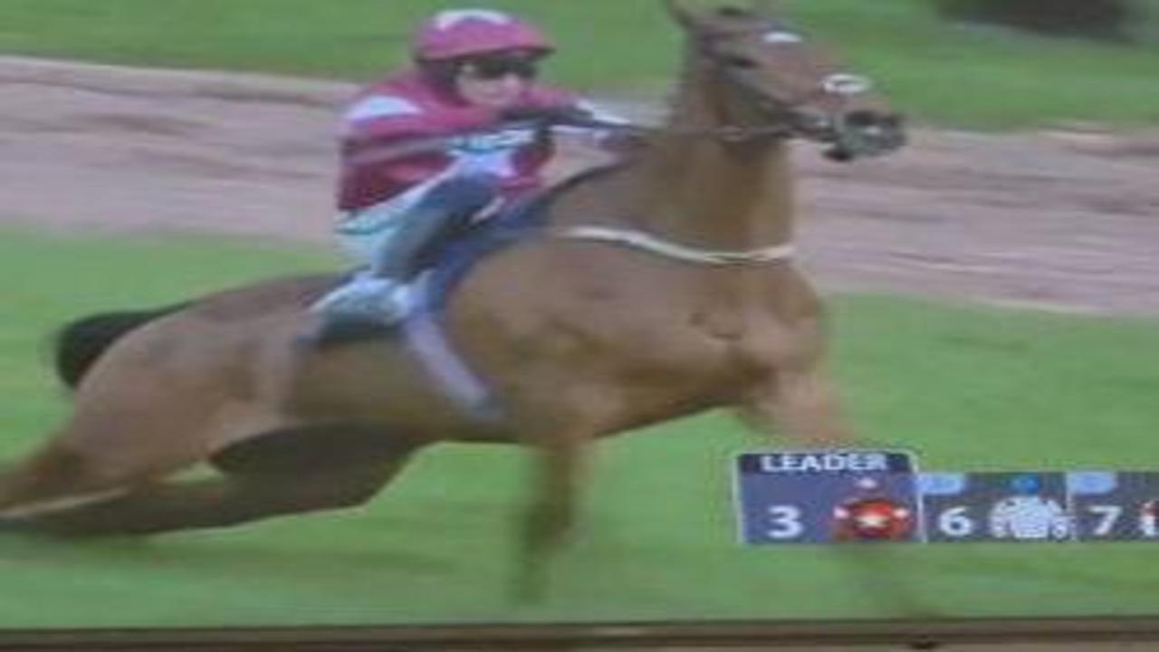 İngiltere'deki at yarışlarında feci son: Birinci olan şampiyon at uyutuldu