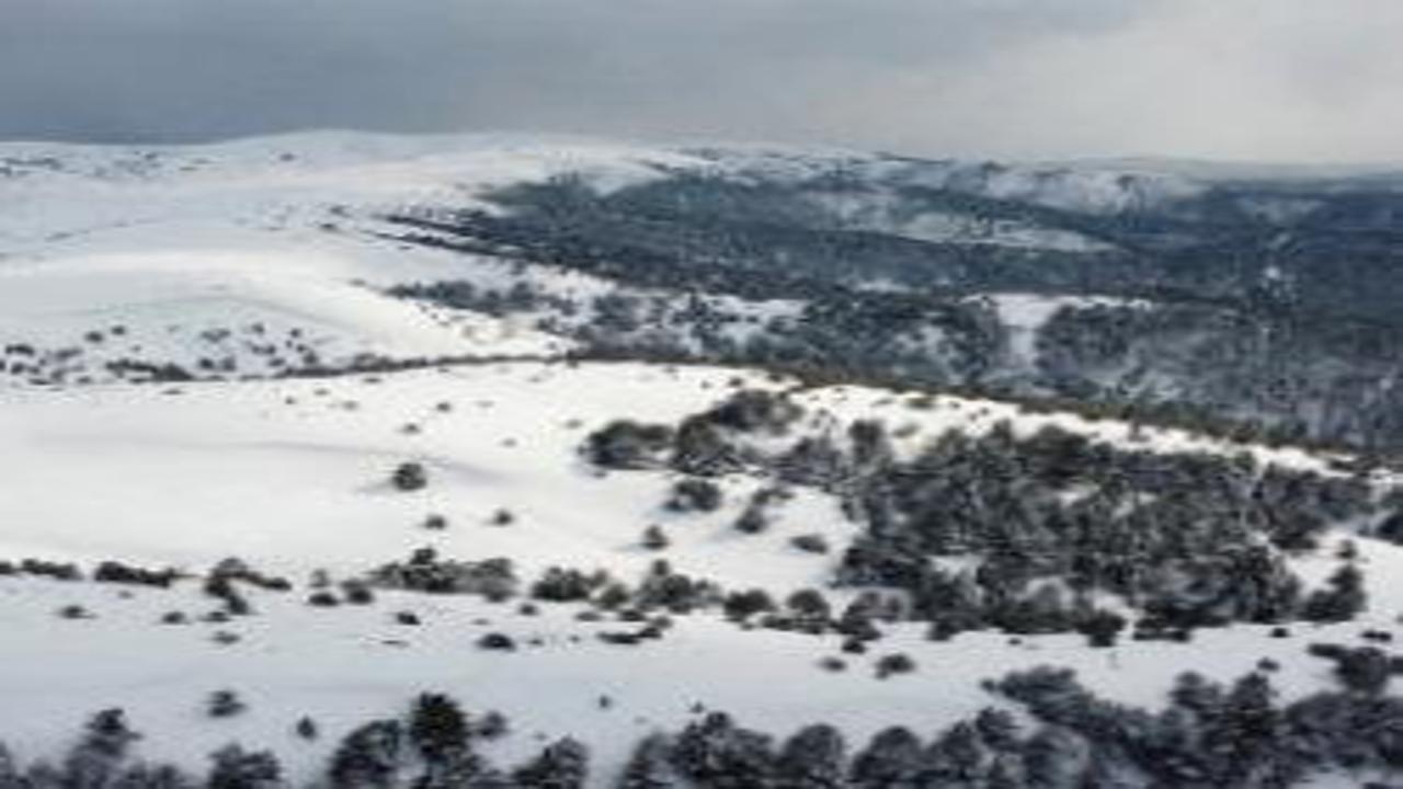 Kilometrelerce yolu bu manzara için aştılar! 2 bin 77 rakımda görsel şölen
