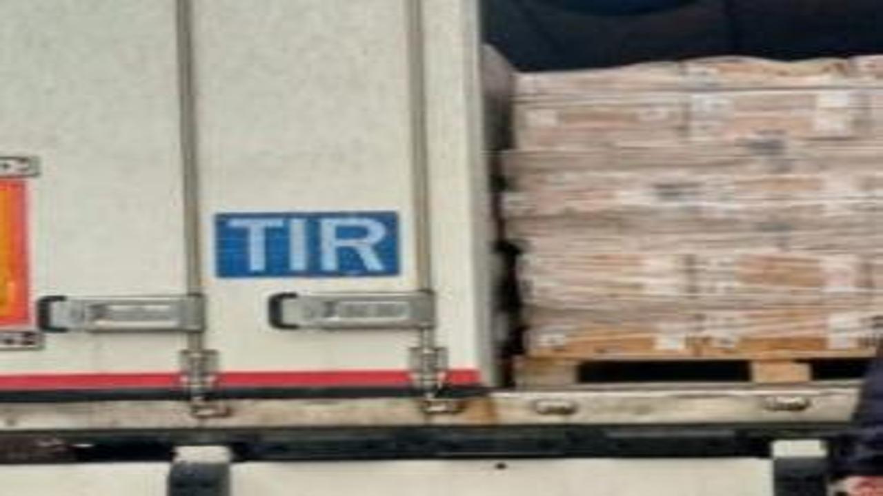 Sakarya'da 32 ton bozuk tavuk ele geçirildi!