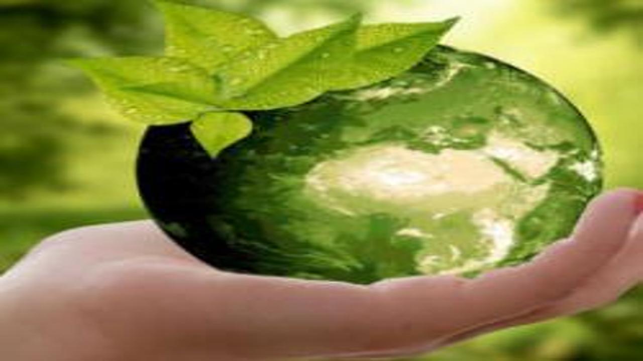 Sıfır Atık Projesi’nin çok boyutlu etkileri