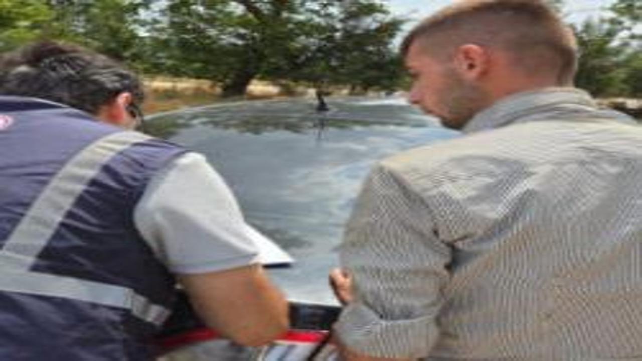 Ticaret Bakanlığı'ndan biber görüntülerine yalanlama