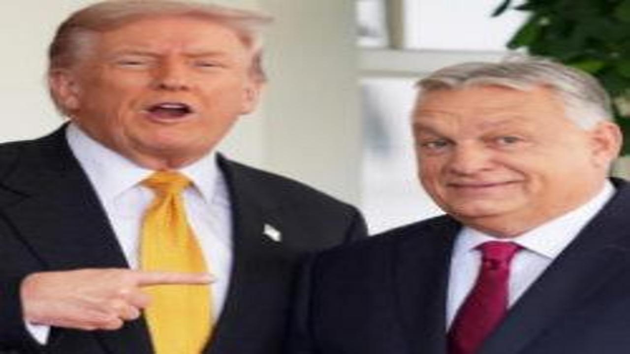 Trump: Oyunuzu Orban'a atın, size yatırım yaparız