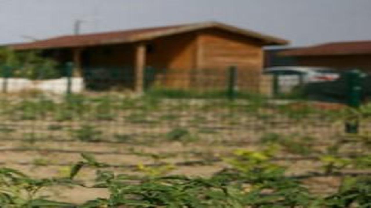 Uğraşı (hobi) bahçeleri