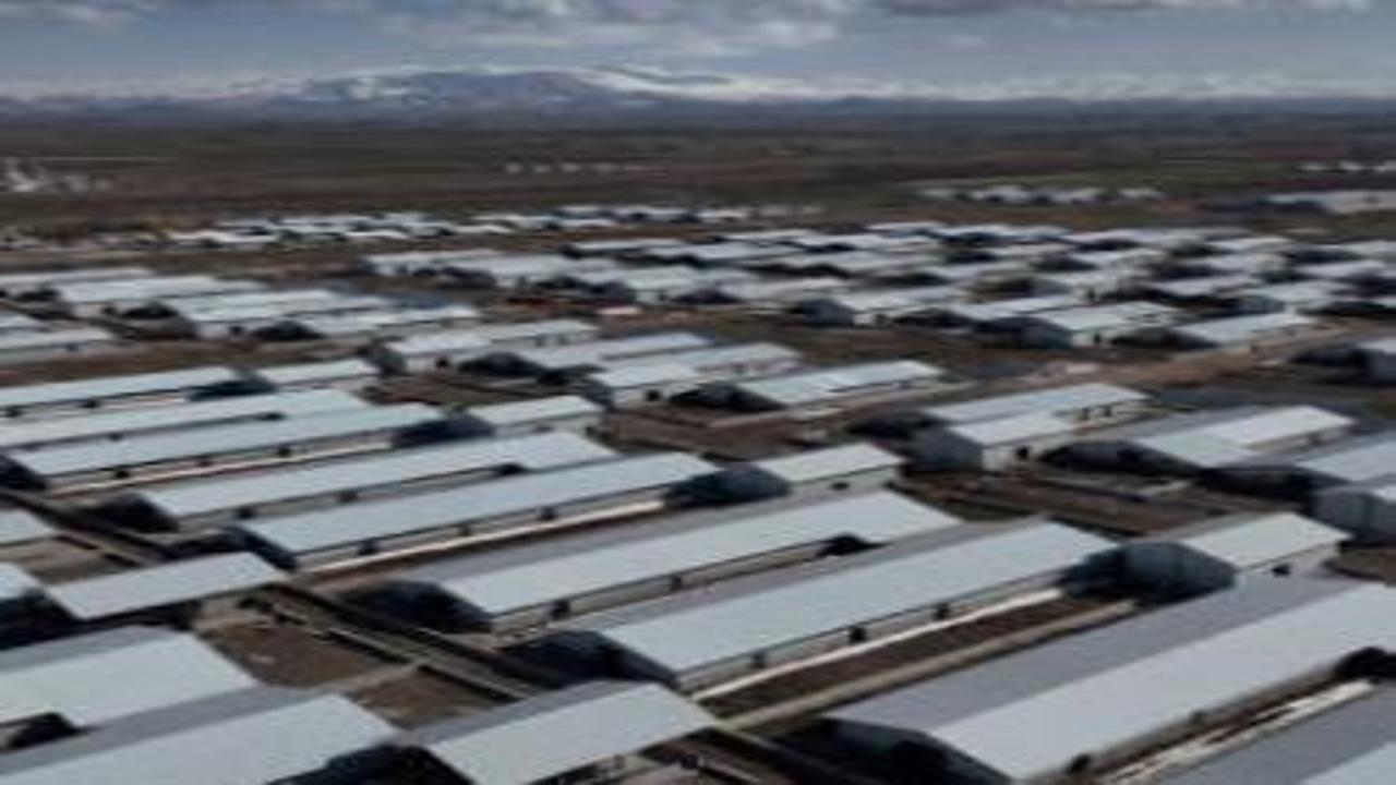 Ağrı’da 307 ahırlık hayvancılık üssü hayata geçiyor