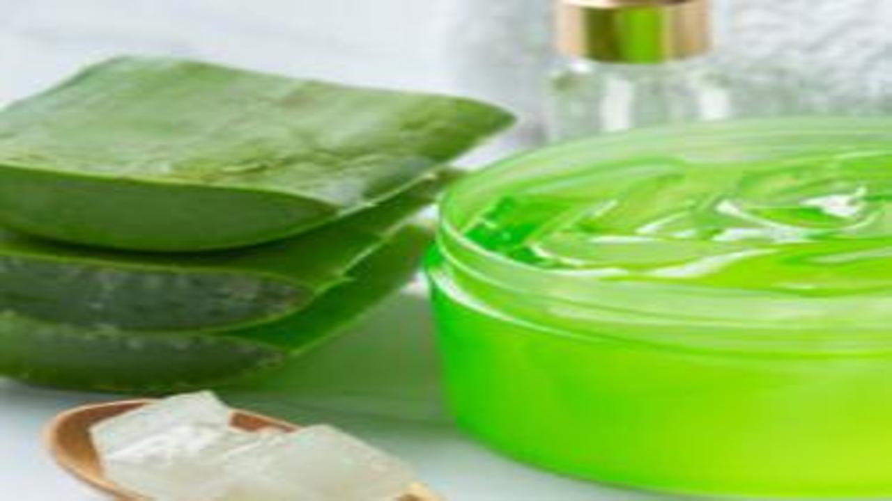 Aloe Vera Jeli: Güneşin Panzehiri