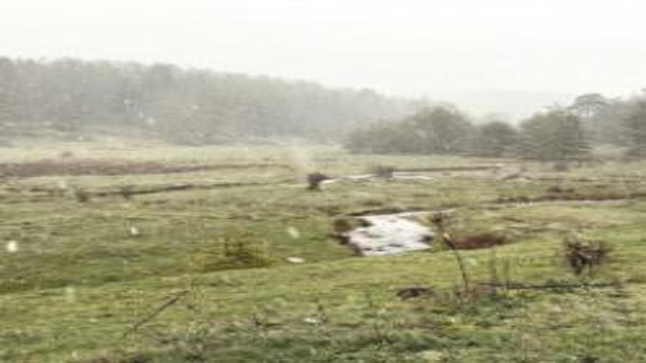 Bolu’da bahar yerini kara bıraktı