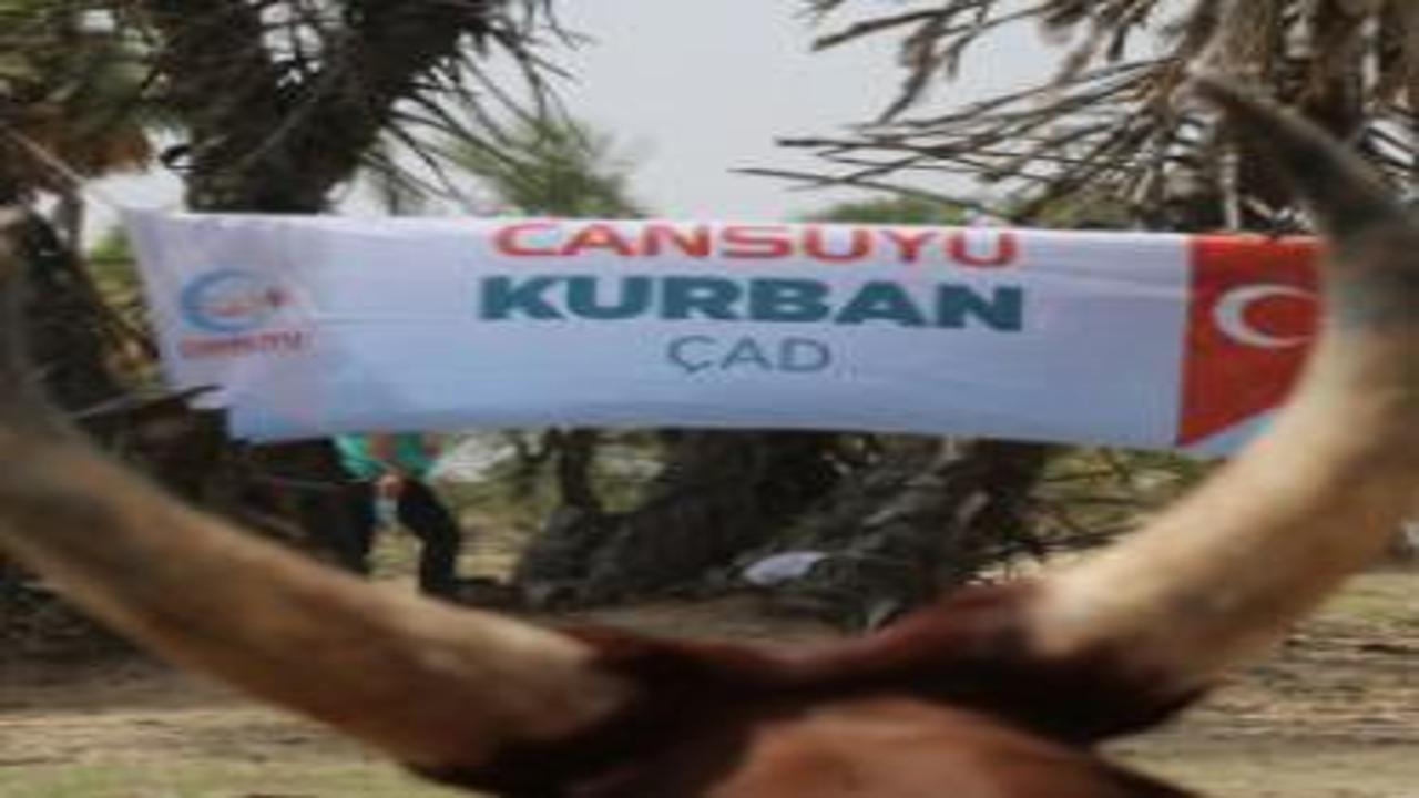 Cansuyu'ndan 2026 kurban seferberliği