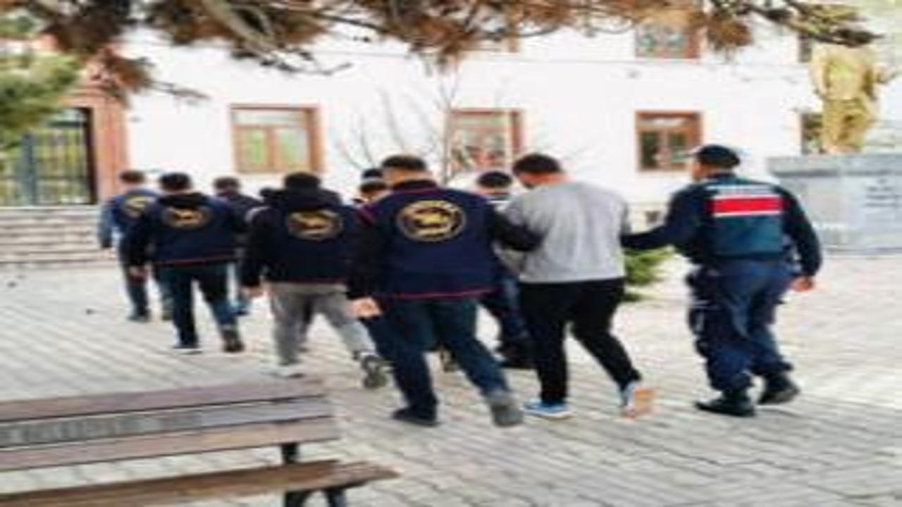 Çobanları hamama götürüp, 5 milyon lira değerindeki büyükbaşları çaldılar