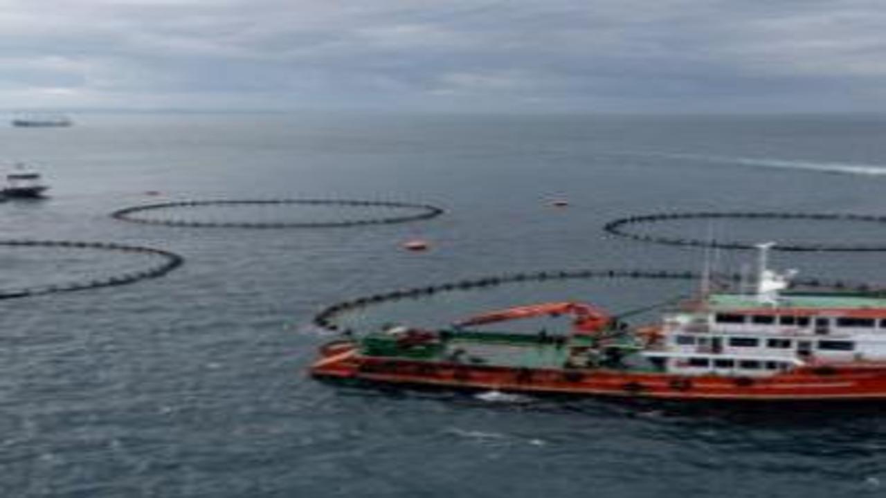 22 ülke sıraya girdi! Karadeniz’in 