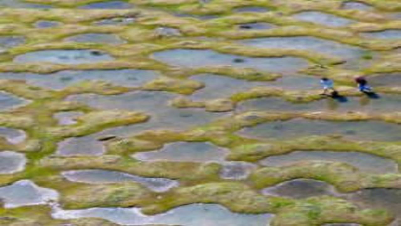 Eşine zor rastlanır: Sakarya’da gölcükler ve menderesler görsel şölen sundu