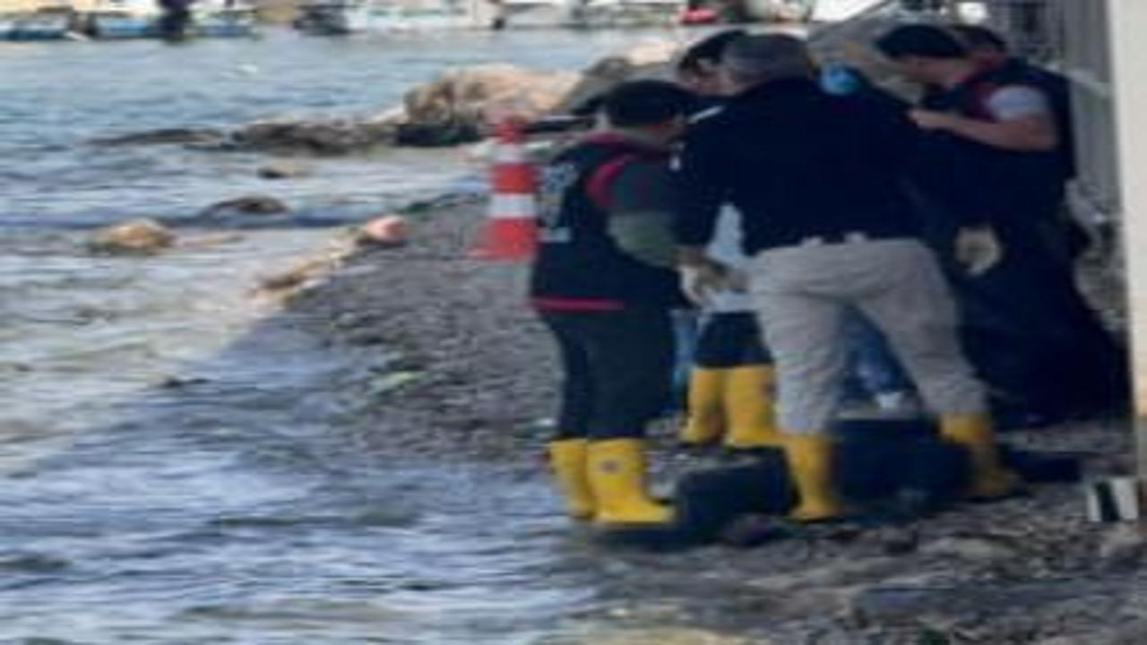 Fethiye Körfezi'nde erkek cesedi bulundu