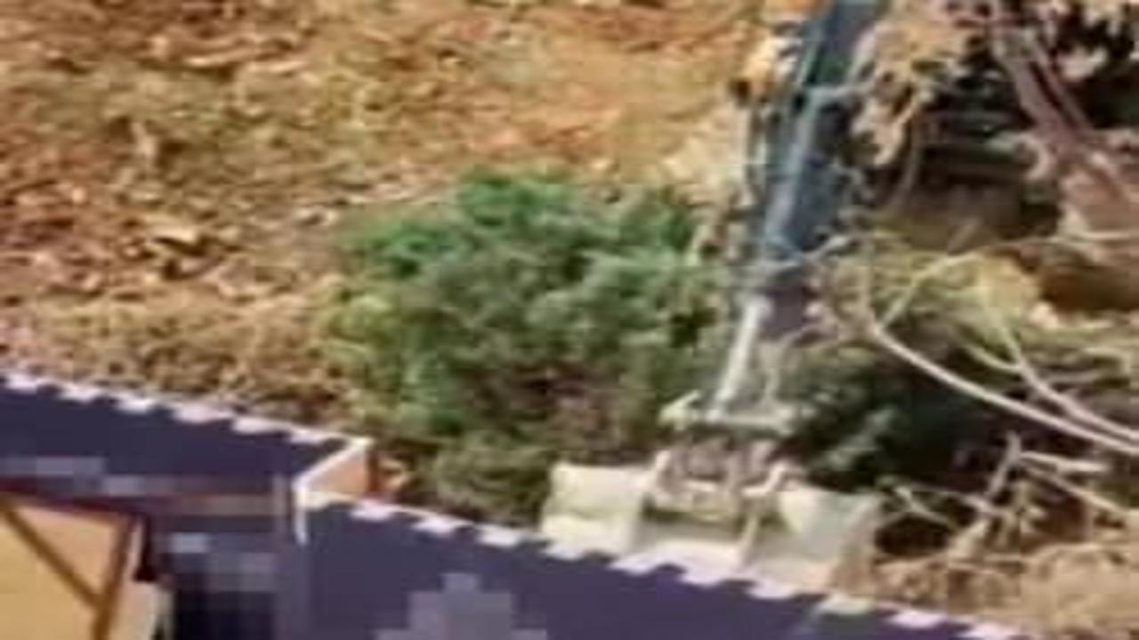 Üsküdar Belediyesi'nin ruhsat verdiği inşaat alanında ağaçlar kesildi