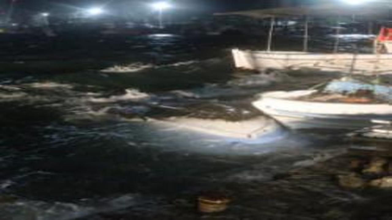 Hatay'ı fırtına vurdu! Tekneler battı, ağaçlar devrildi