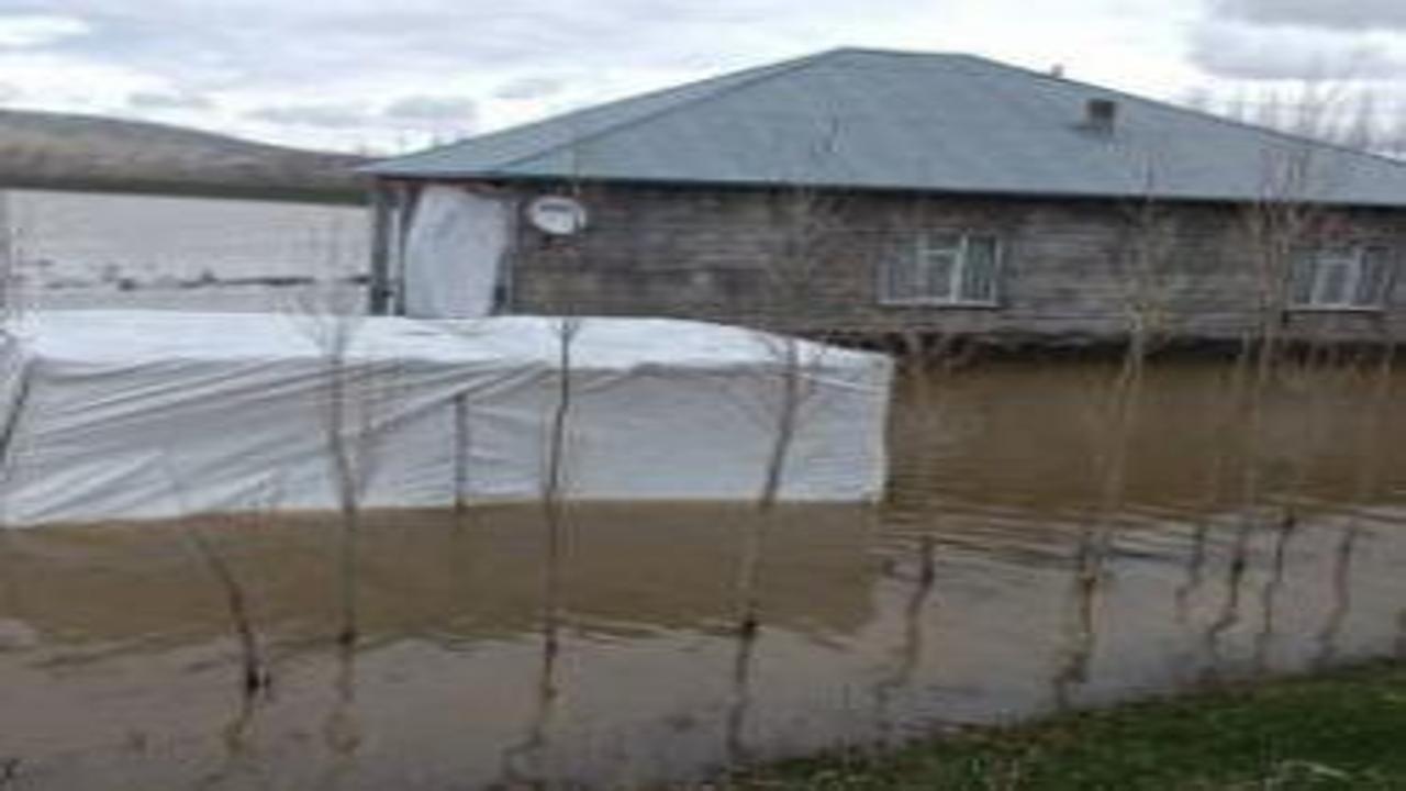 Ağrı'da sağanak yağış: Dereler taştı, evler ve tarım arazilerini su bastı!