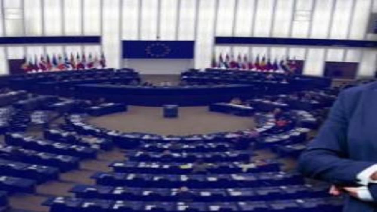Avrupa Parlamentosu'nda Türkiye'ye övgü dolu sözler: Çok büyük ve güçlüler