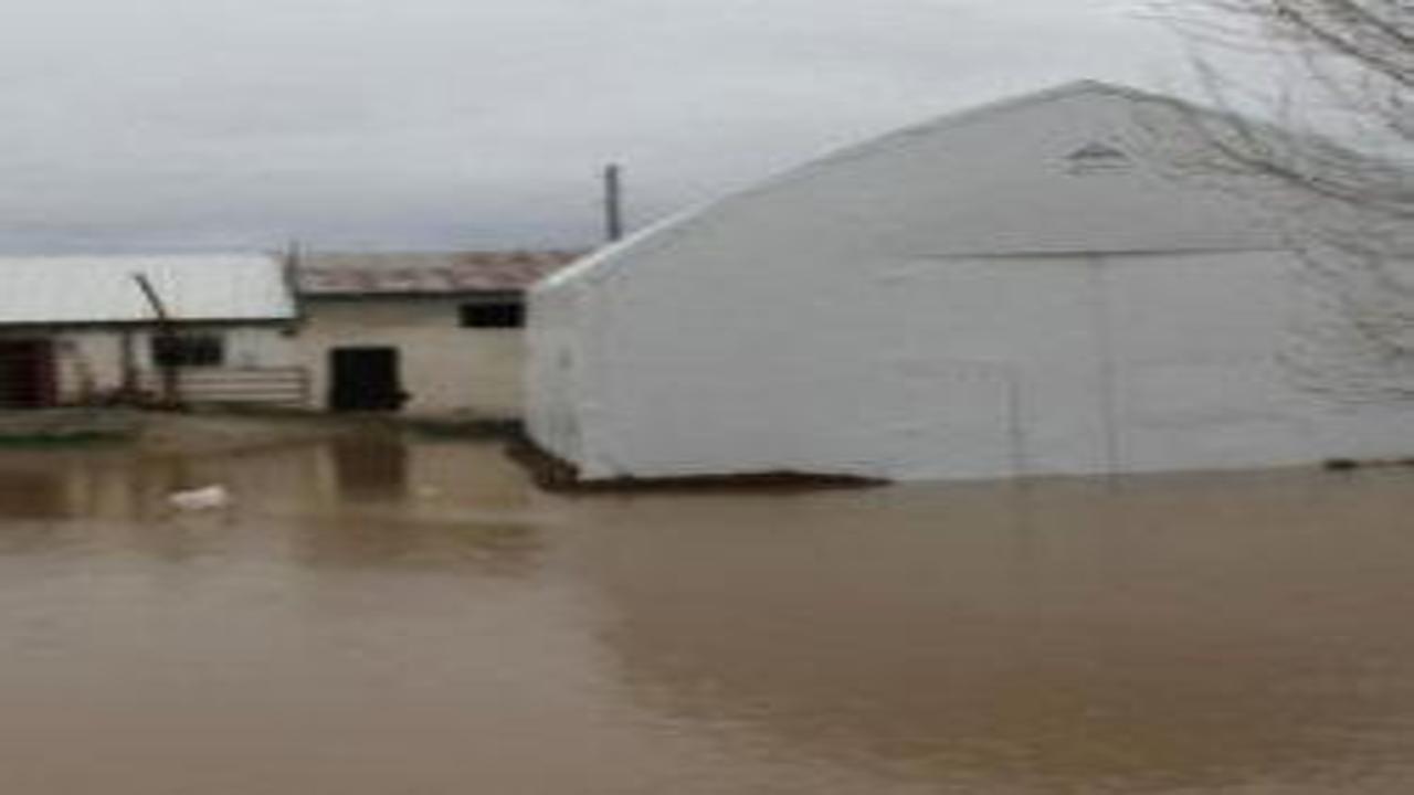 Baraj taştı, köy tamamen sular altında kaldı
