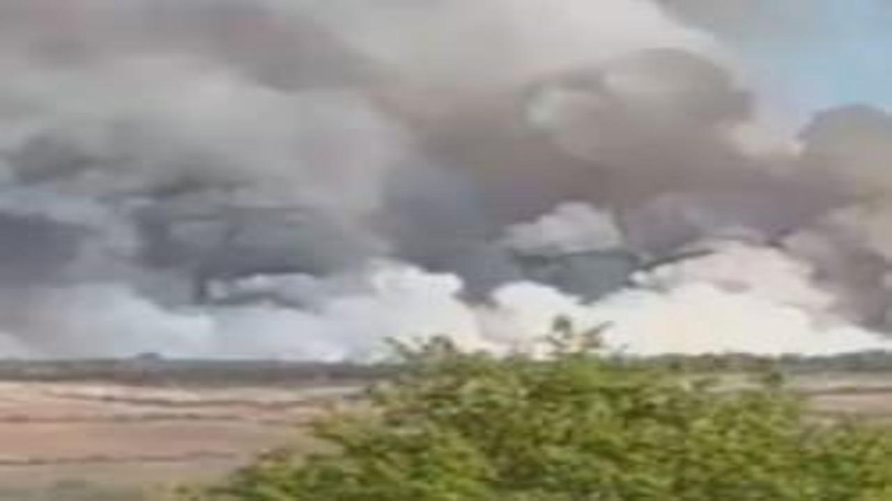 Beykoz'da ormanlık alanda yangın!