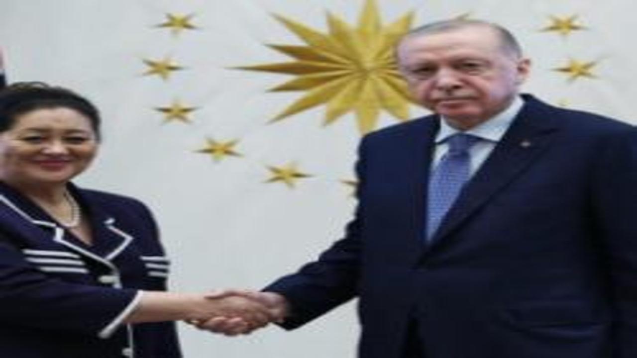 Cumhurbaşkanı Erdoğan, Cindy Kiro'yu kabul etti