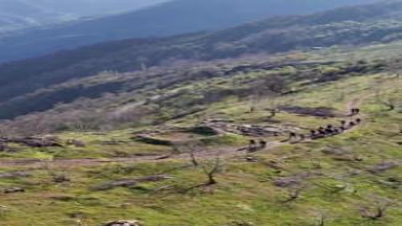 Düşmana karşı koyan efelerin rotası: Efeler Yolu