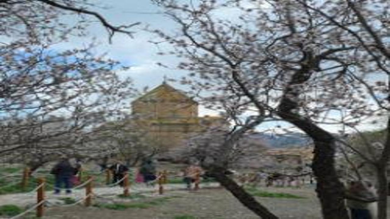 Önceden gelmediklerine pişman oldular: Akdamar Adası’na yoğun ilgi