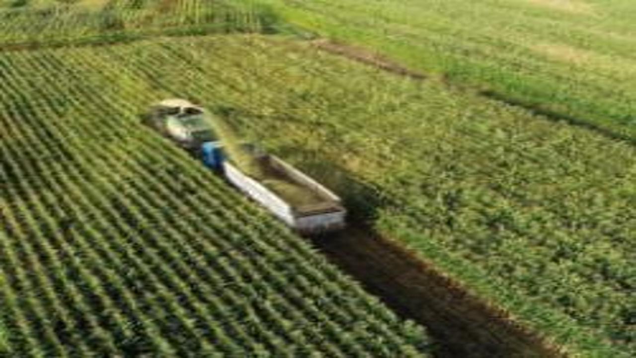 Tarımsal girdi fiyat endeksi şubatta arttı