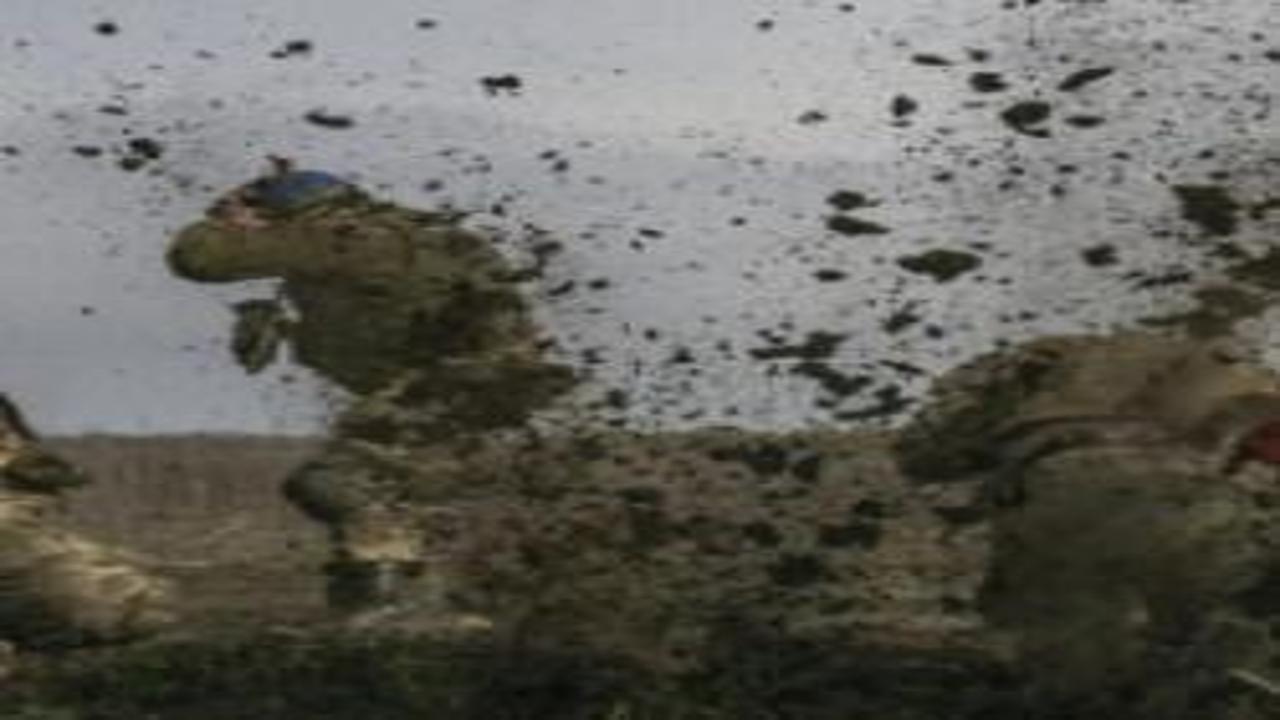 Türkiye’nin sıralaması dikkat çekti! İşgal edilmesi en zor olan ülkeler belli