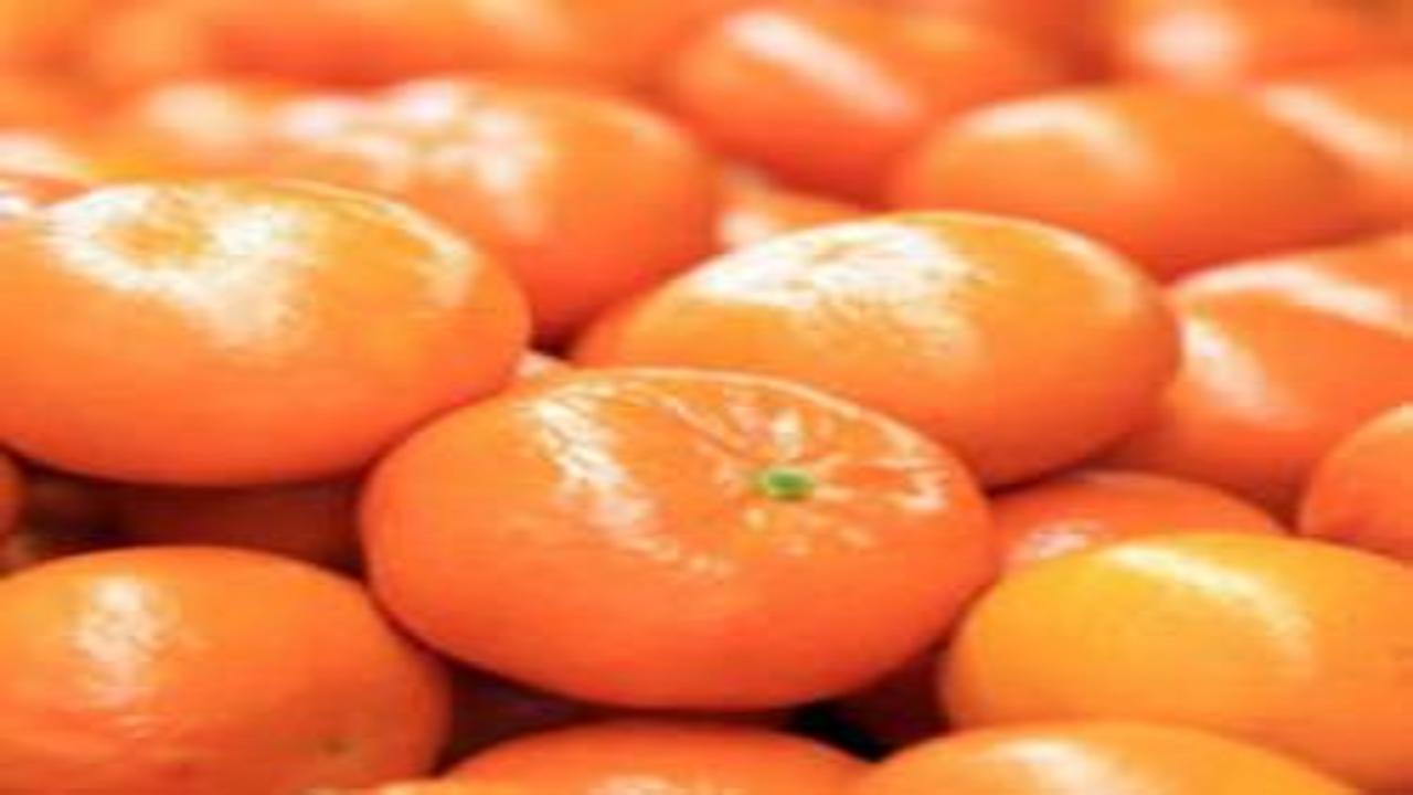 Turunçgil ihracatı 697,7 milyon dolara ulaştı