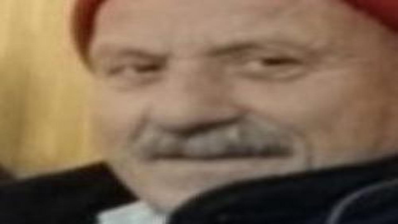 Yaşlı adamın kahreden ölümü: Kovana bakım yaparken arı soktu!