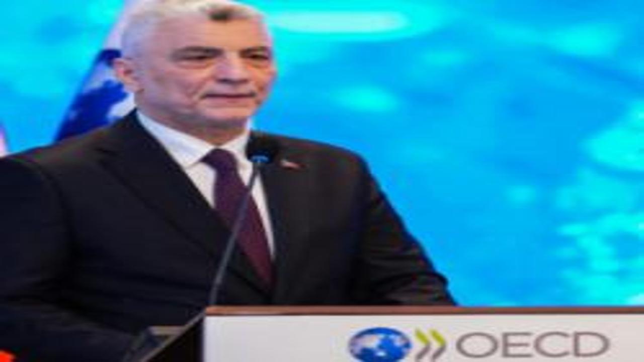 Lityum talebi 10 yılda 4 kat arttı: Türkiye kritik minerallerde yeni iş birliğine hazır