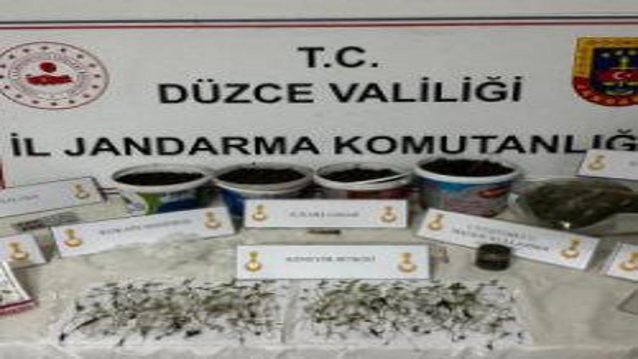 Düzce’de evini uyuşturucu tarlasına çevirmiş: Saksılarda yüzlerce kök kenevir çıktı!