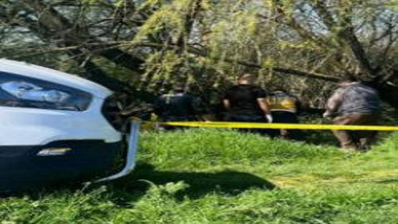 Çay kenarında erkek cesedi bulundu