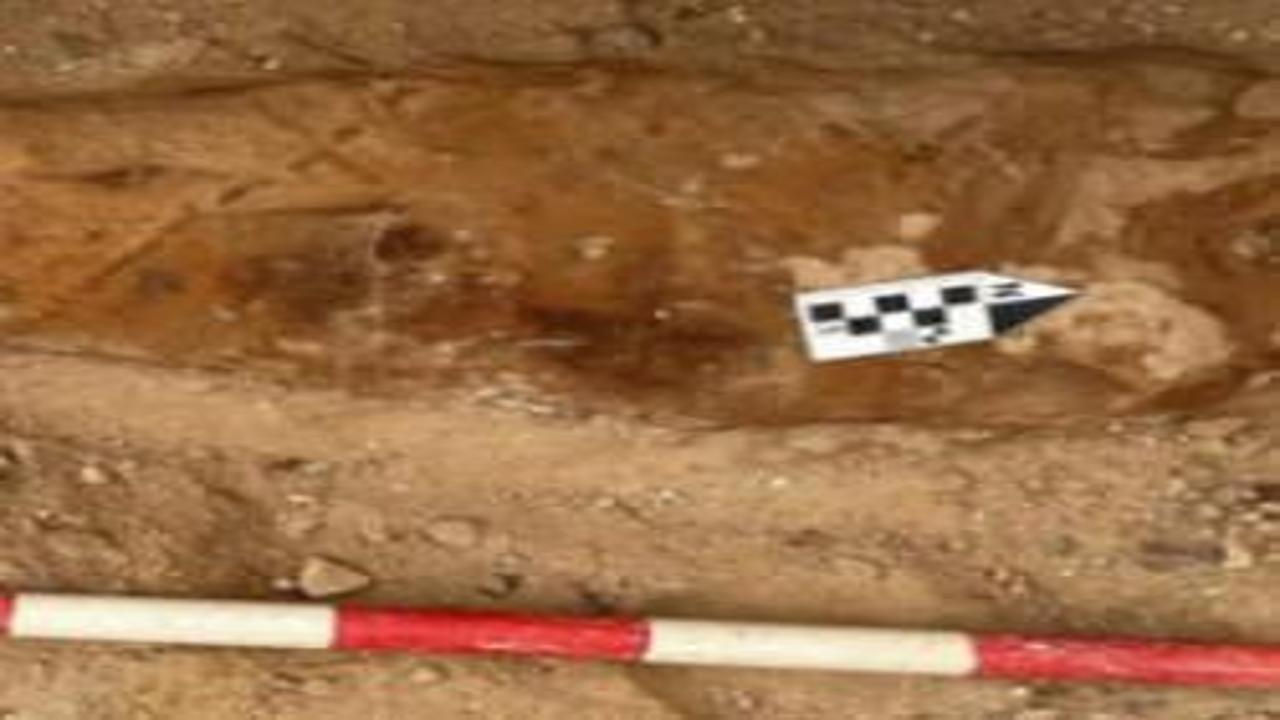 Dünyada bir ilk! Mısır'da bulundu: Mumyanın karnından çıktı