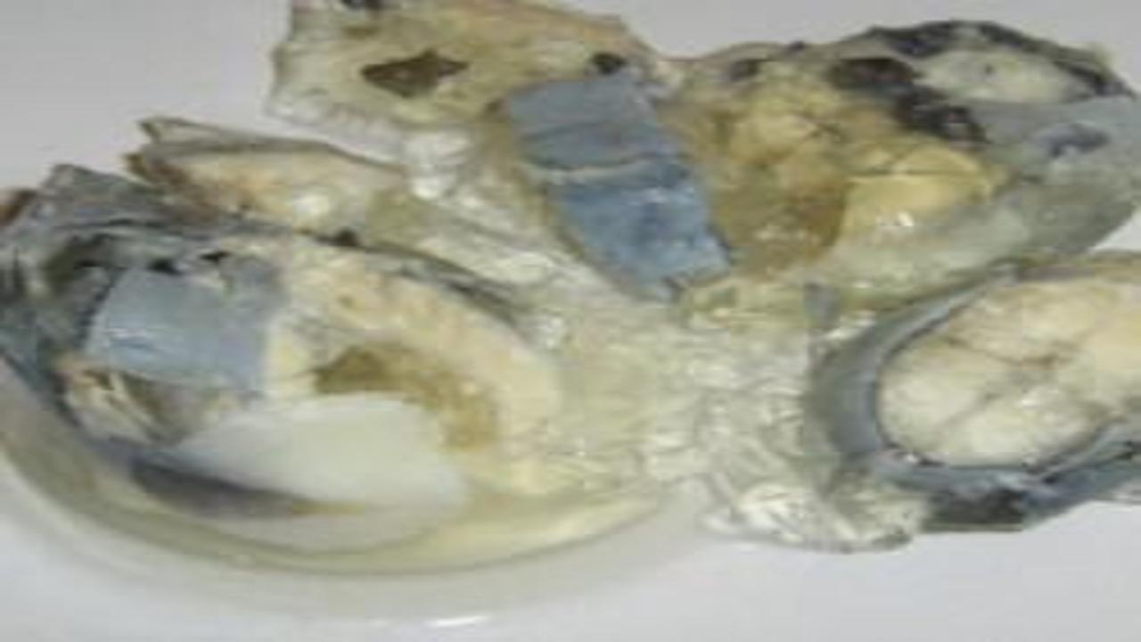 Dünyanın en kötü 100 sokak lezzeti belli oldu... 33. sırada ise Türkiye'den bir yemek var