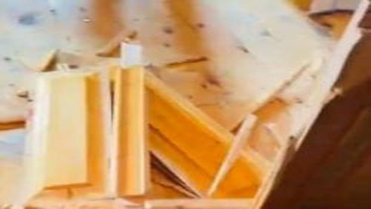 Gümüşhanelilerin ayılarla imtihanı devam ediyor