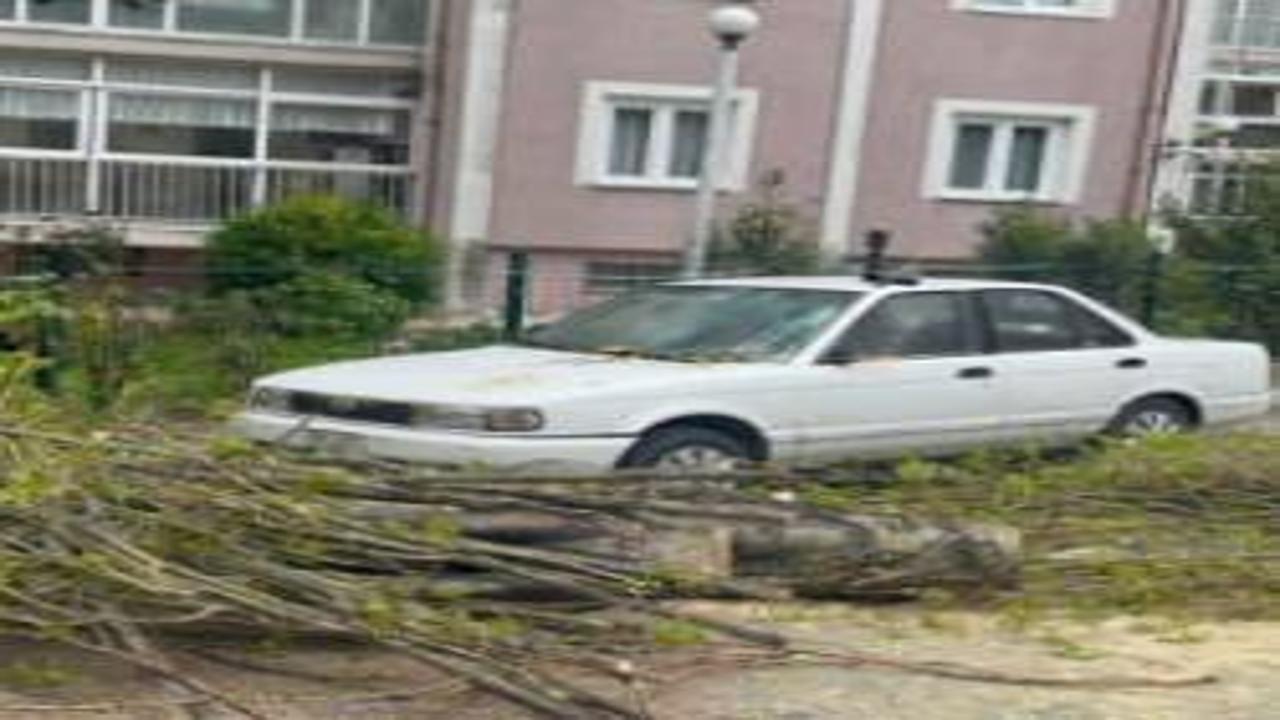 İstanbul'da fırtına alarmı! Otomobilin üstüne ağaç devrildi