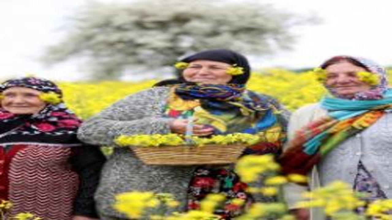 Trakya’da agro turizm hareketliliği! Masalsı manzaralara yoğun ilgi