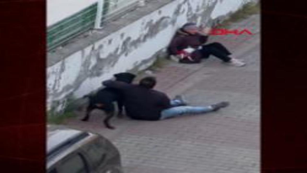 Ümraniye’de ağızlıksız gezdirilen rottweiler, küçük ırk köpeğe saldırdı